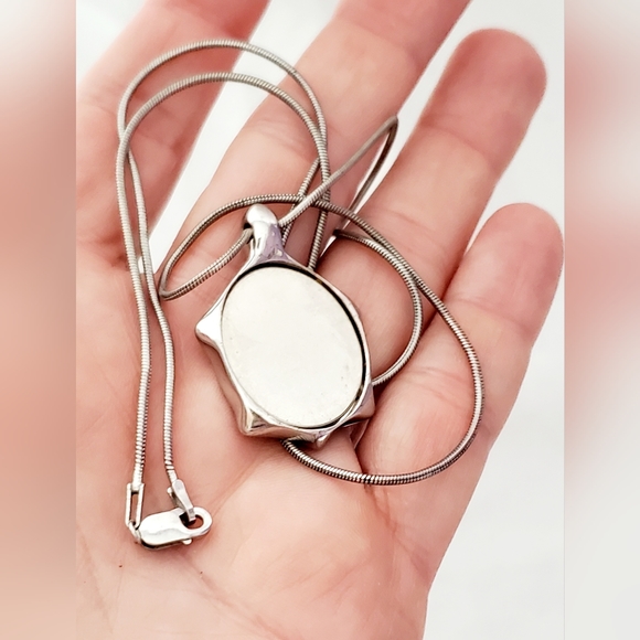 Secret Wood Turtle Jewely Set + 4 Shells - Picture 10 of 12